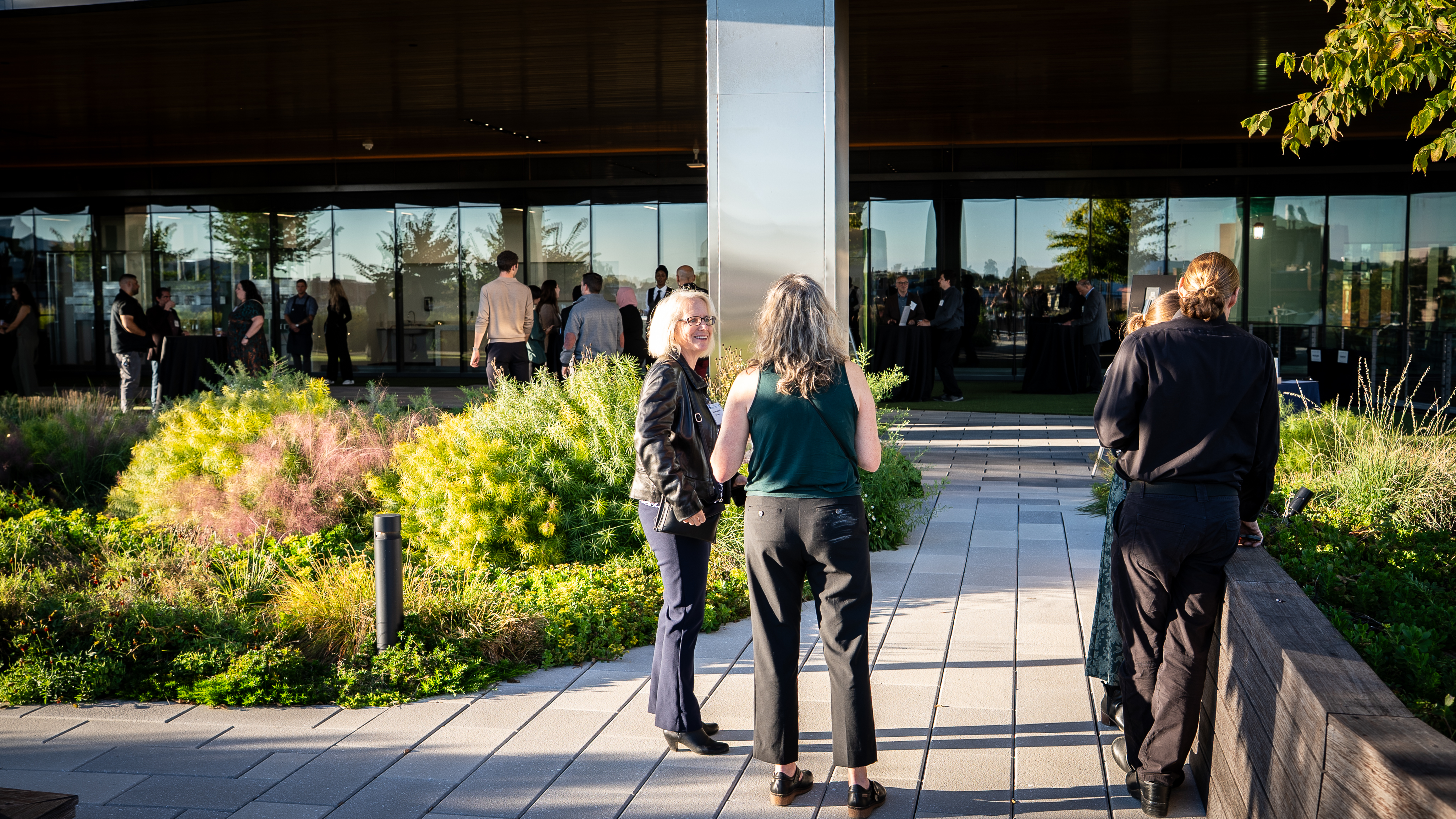 Green Roof outdoor terrace at MEET